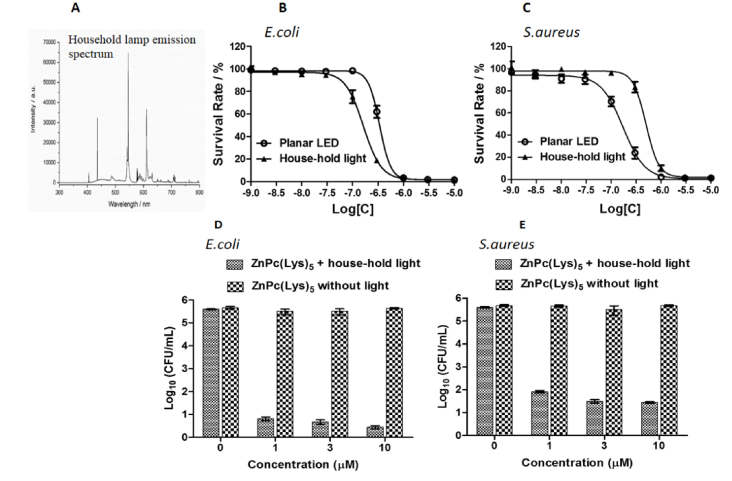 Fig. 2