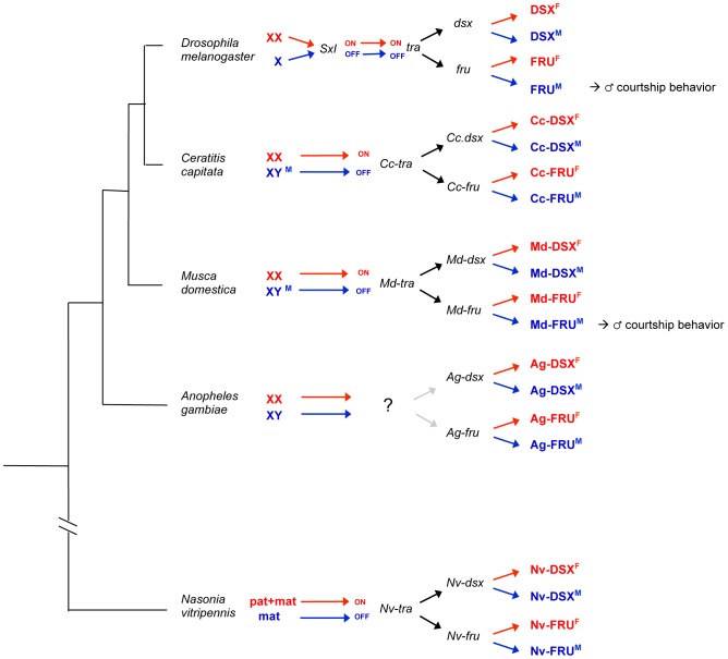 Figure 7