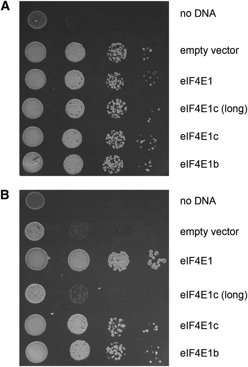 Figure 6.