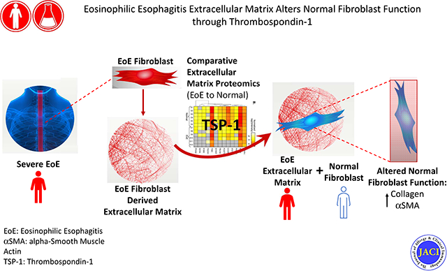 graphic file with name nihms-1670833-f0001.jpg