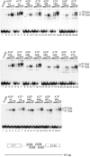 FIG. 7.