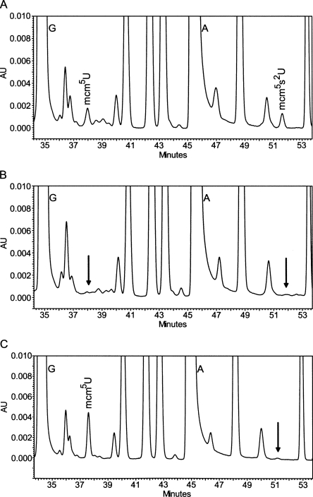 FIGURE 2.