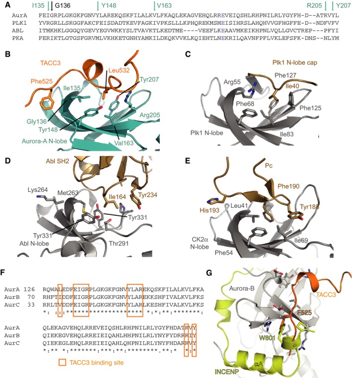 Figure EV3