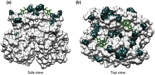 FIG. 1.