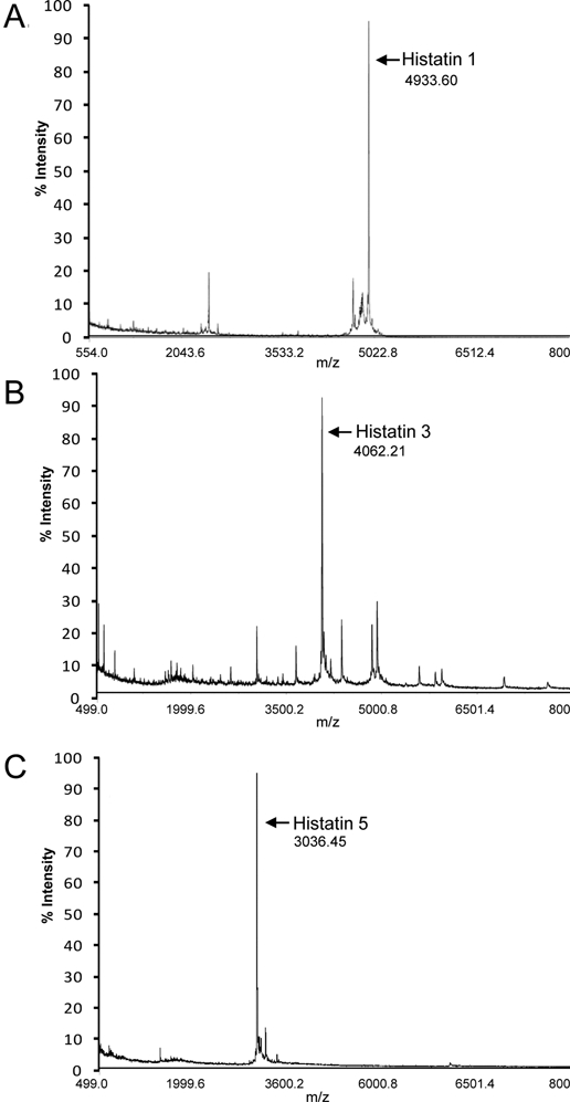 Figure 2.