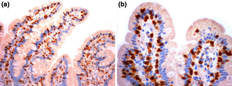 Fig. 1