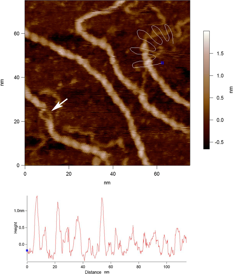 Fig. 4