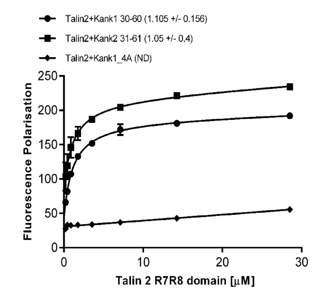 Figure 2—figure supplement 2.