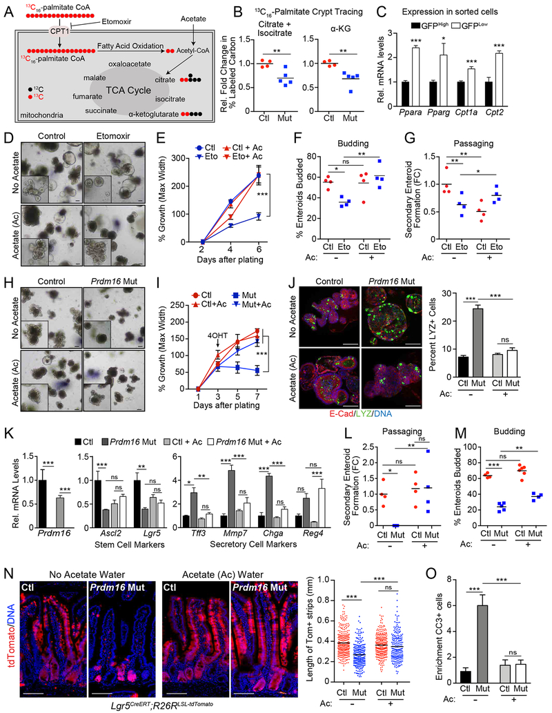 Figure 6: