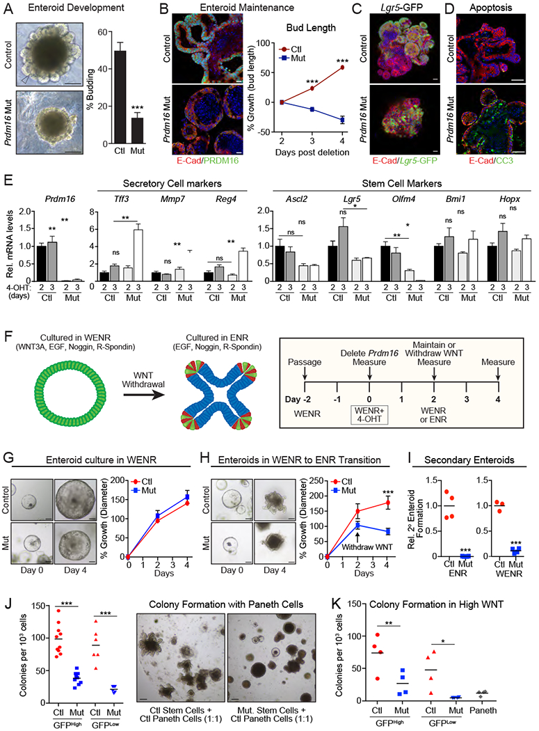 Figure 4: