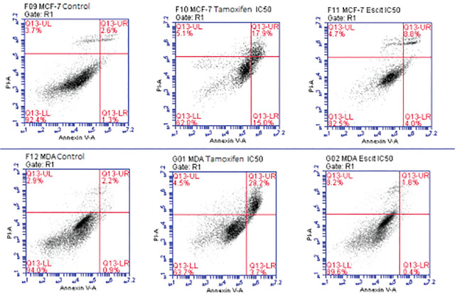 Scatter plots showing flow cytometry results for MCF-7 and MDA cells treated with Tamoxifen and Escitalopram Oxalate at IC50 concentrations, along with control plots. The image consists of six scatter plots representing flow cytometry results, analyzing apoptosis in MCF-7 and MDA-MB-231 cells treated with Tamoxifen and Escitalopram Oxalate at their IC50 concentrations, compared to controls. **Top Row (MCF-7 cells)**: 1. **F09 MCF-7 Control**: - Majority of cells (92.4%) are in the lower-left quadrant (Q13-LL), indicating live cells. - Minimal apoptosis is seen in the upper-right quadrant (Q13-UR, 2.6%). 2. **F10 MCF-7 Tamoxifen IC50**: - Apoptosis increases significantly (Q13-UR, 17.9%). - Live cells decrease to 62.0% (Q13-LL). 3. **F11 MCF-7 Escitalopram Oxalate IC50**: - Apoptosis in the upper-right quadrant is 3.8%. - Live cells remain the majority (Q13-LL, 81.0%). **Bottom Row (MDA-MB-231 cells)**: 1. **F12 MDA Control**: - Most cells (84.9%) are live (Q13-LL), with minimal apoptosis (Q13-UR, 2.2%). 2. **G01 MDA Tamoxifen IC50**: - Apoptosis increases to 28.7% in the upper-right quadrant. - Live cells drop to 62.7% (Q13-LL). 3. **G02 MDA Escitalopram Oxalate IC50**: - Apoptosis is relatively low (Q13-UR, 1.6%). - Majority of cells remain live (Q13-LL, 81.4%). These scatter plots display how Tamoxifen induces significant apoptosis in both MCF-7 and MDA-MB-231 cells, while Escitalopram Oxalate shows comparatively less apoptosis.