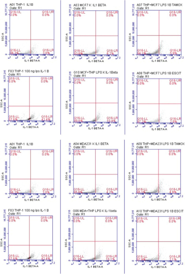 Flow cytometry scatter plots showing IL-1 Beta expression in THP-1, MCF-7, and MDA-MB-231 cells, with and without treatments of LPS, IL-1 Beta, Tamoxifen, and Escitalopram Oxalate. Flow cytometry scatter plots showing IL-6 and IL-10 expression in THP-1, MCF-7, and MDA-MB-231 cells with various treatments including LPS, IL-6, IL-10, Tamoxifen, and Escitalopram Oxalate. The image consists of multiple scatter plots (3x4 grid) representing flow cytometry data for IL-1 Beta expression across different cell lines (THP-1, MCF-7, and MDA-MB-231) treated with various conditions including LPS, IL-1 Beta, Tamoxifen, and Escitalopram Oxalate. Each scatter plot is divided into quadrants representing different cell populations, with a specific focus on IL-1 Beta expression. **Top Row:** 1. **A01 THP-1 IL1B**: A control sample for THP-1 cells treated with IL-1 Beta, showing minimal IL-1 Beta expression in the Q16-UR quadrant (0.0%). 2. **A03 MCF-7 IL1B**: MCF-7 cells treated with IL-1 Beta, also showing negligible IL-1 Beta expression (0.0% in Q16-UR). 3. **A07 THP + MCF7 LPS IL1B Tamox**: Cells treated with LPS, IL-1 Beta, and Tamoxifen, with no detectable IL-1 Beta expression (Q16-UR, 0.0%). **Middle Row:** 1. **F03 THP-1 100ng LPS IL1B**: THP-1 cells treated with 100ng LPS and IL-1 Beta, with no observable IL-1 Beta expression (Q16-UR, 0.0%). 2. **G10 MCF + THP LPS IL1B**: Mixed MCF and THP-1 cells treated with LPS and IL-1 Beta, showing no detectable expression of IL-1 Beta (Q16-UR, 0.0%). 3. **A08 THP + MCF7 LPS IL1B Escit**: Similar combination as A07 but with Escitalopram, again with no IL-1 Beta expression in Q16-UR (0.0%). **Bottom Row:** 1. **A01 THP-1 IL1B (Replicate)**: Similar to the first plot, showing 1.2% IL-1 Beta expression in the lower right quadrant (Q16-LR). 2. **A04 MDA231 K IL1B**: MDA-MB-231 cells treated with IL-1 Beta, also showing negligible IL-1 Beta expression. 3. **A09 THP + MDA231 LPS IL1B Tamox**: Co-treatment of THP-1 and MDA-MB-231 cells with LPS, IL-1 Beta, and Tamoxifen, showing no IL-1 Beta expression in Q16-UR (0.0%). Each plot highlights a focus on the lower quadrants (Q16-LL and Q16-LR), representing live cells with minimal IL-1 Beta expression in most treatment conditions. The image contains a grid of 6x5 flow cytometry scatter plots showing the expression of IL-6 and IL-10 across different cell types (THP-1, MCF-7, and MDA-MB-231), treated with LPS, IL-6, IL-10, Tamoxifen, and Escitalopram Oxalate. The plots are divided by quadrants, representing different populations of cells and cytokine expression levels. **Top Three Rows (IL-6 Expression)**: 1. **A11 THP-1 IL6** to **D06 THP-1 IL6**: - These plots show IL-6 expression in THP-1 and MCF-7 cells treated with various conditions, including LPS, IL-6, Tamoxifen, and Escitalopram Oxalate. - Cells treated with IL-6 (e.g., A11, A12, and A17) show minimal IL-6 expression in the upper-right quadrant (Q21-UR). - Co-treatments with LPS and Tamoxifen, or LPS and Escitalopram, show slight variations in IL-6 expression but remain mostly clustered in the lower quadrants, indicating low IL-6 expression. **Bottom Three Rows (IL-10 Expression)**: 1. **C07 THP-1 IL10** to **D04 THP-1 IL10**: - These plots focus on IL-10 expression under similar treatments (LPS, IL-10, Tamoxifen, and Escitalopram Oxalate). - The upper-right quadrants (Q21-UR) represent the fraction of cells expressing IL-10, which remains low across most treatments, with slight increases in certain conditions (e.g., C08, C12). - Co-treatments with Tamoxifen and Escitalopram again show minimal effect on IL-10 expression in both cell types. Overall, the scatter plots indicate low levels of IL-6 and IL-10 expression under these experimental conditions, with little variation in the upper-right quadrants (Q21-UR) across the different treatments.