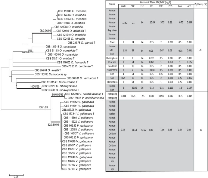 FIG 1