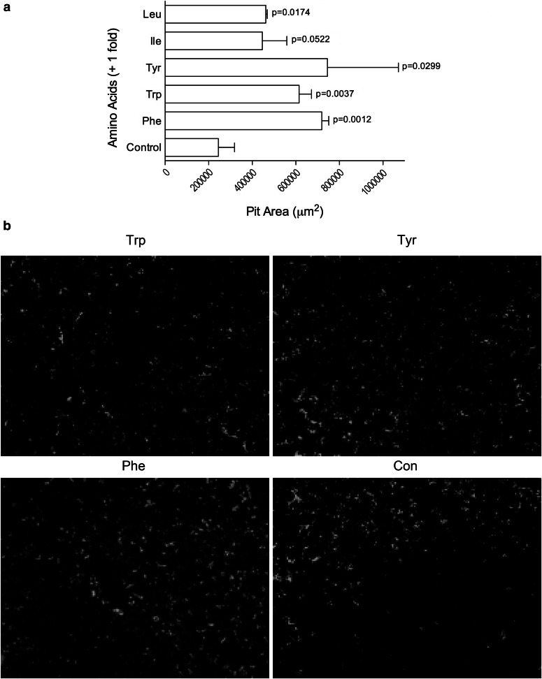 Fig. 5