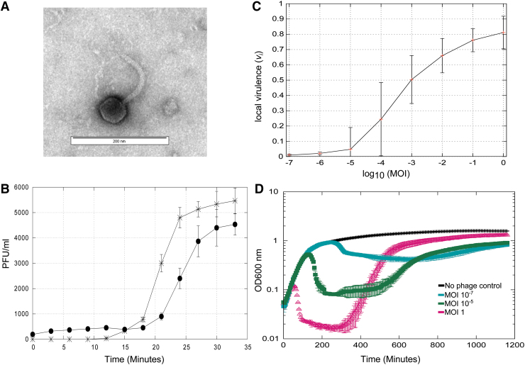 FIG. 1.