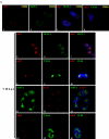 FIG.8.