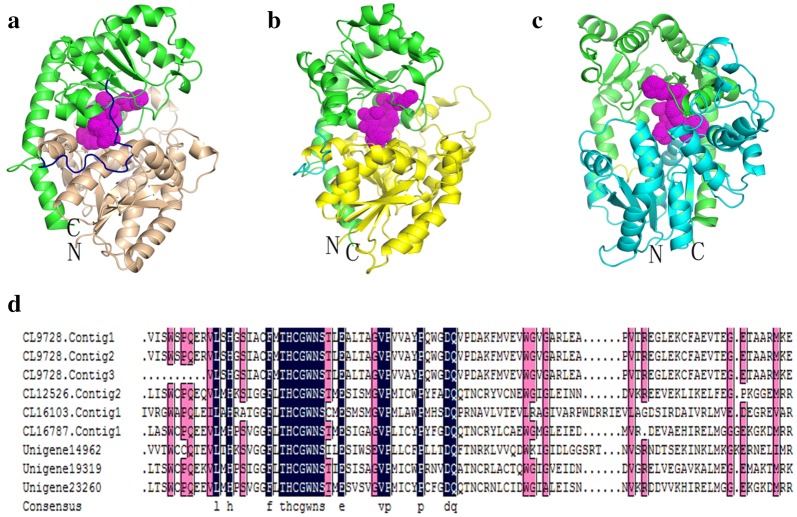 Fig. 4