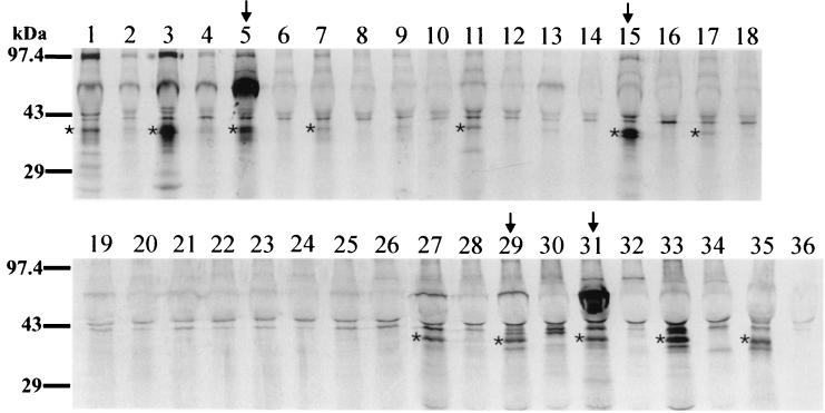 FIG. 6