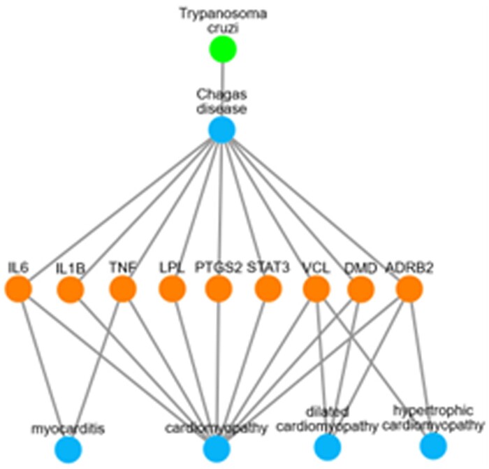 Figure 1.