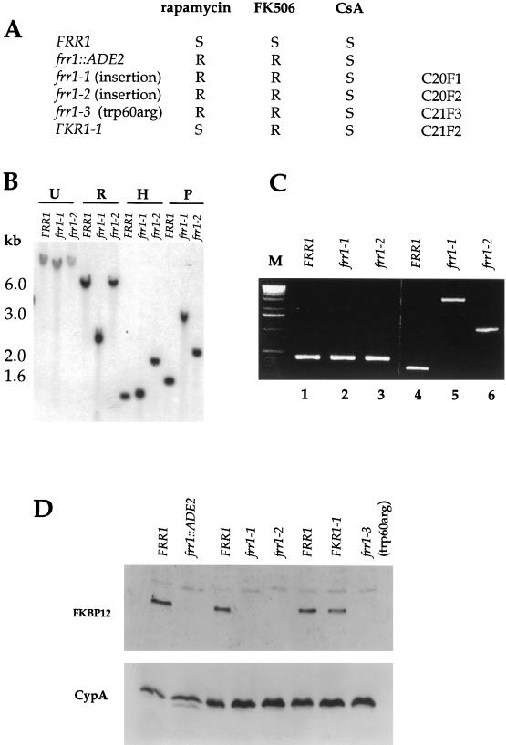 FIG. 6