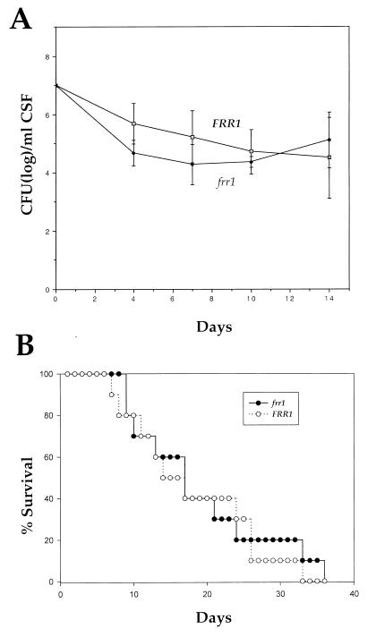 FIG. 7