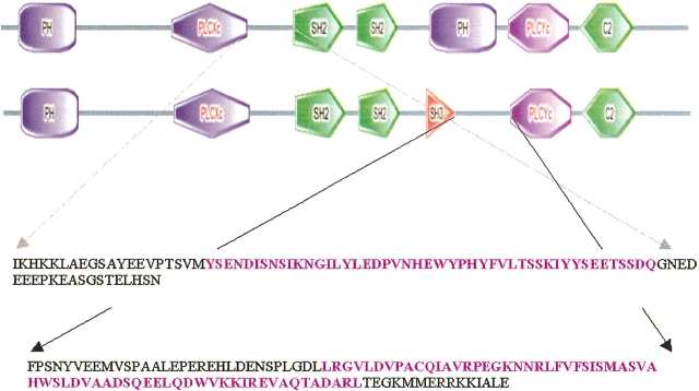 Figure 12.