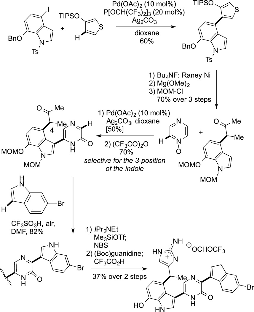 Scheme 1