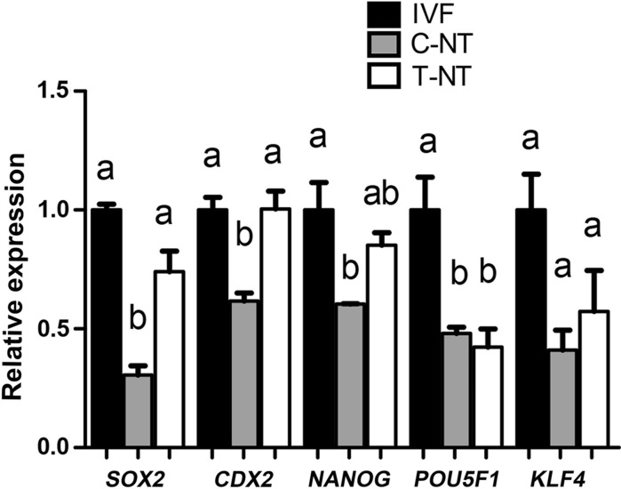 Fig. 4