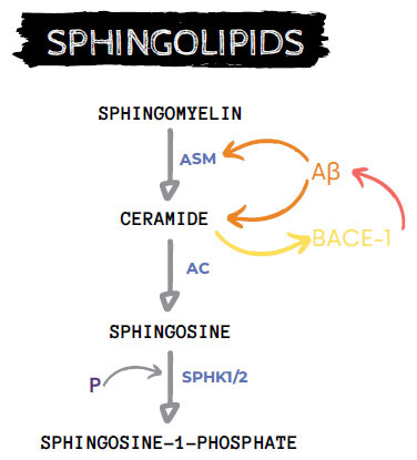 Fig. (3)