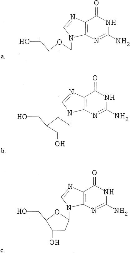 Herpes Simplex Virus Resistance to Acyclovir and Penciclovir after Two ...