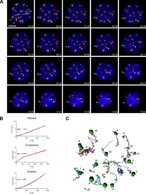 Figure 2.