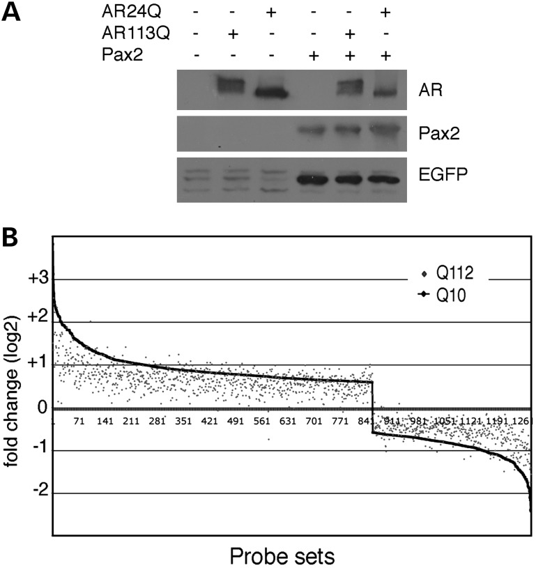 Figure 6.