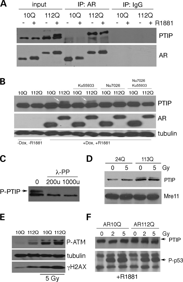 Figure 3.