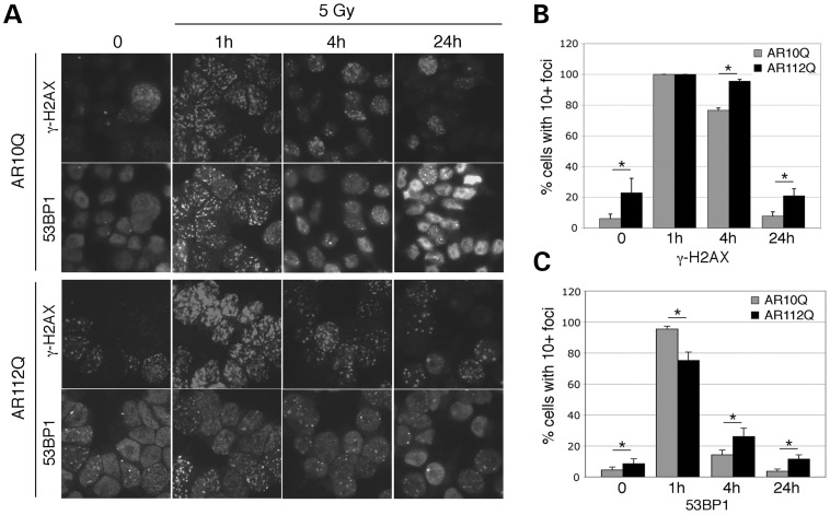 Figure 4.