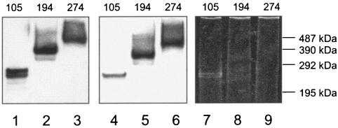 FIG. 7.