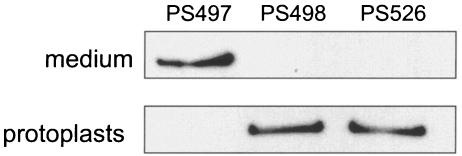 FIG. 6.