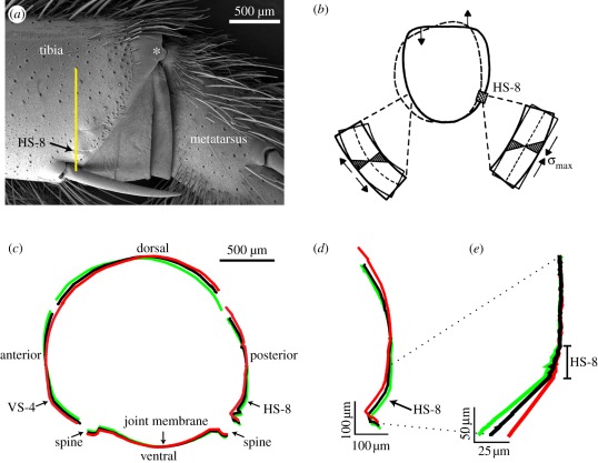 Figure 4.