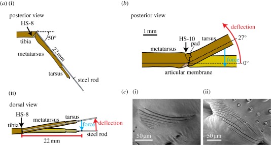 Figure 1.