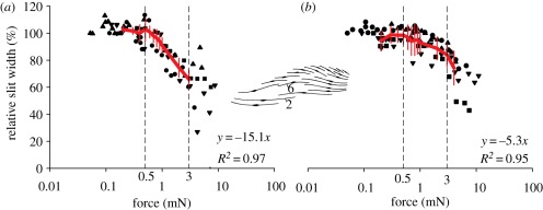 Figure 10.