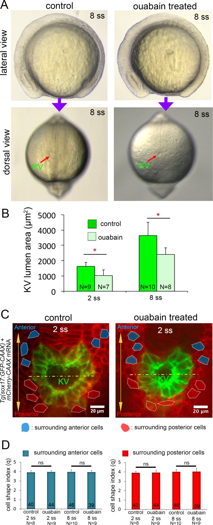 Figure 3—figure supplement 3.