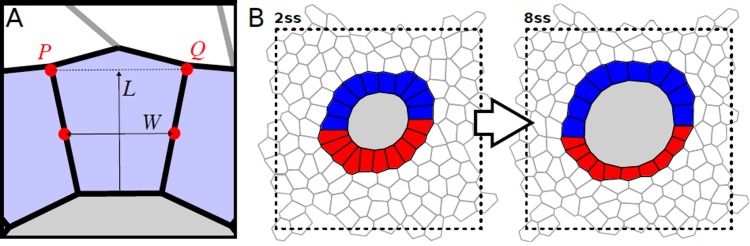 Figure 4—figure supplement 1.