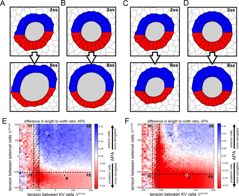 Figure 4—figure supplement 3.