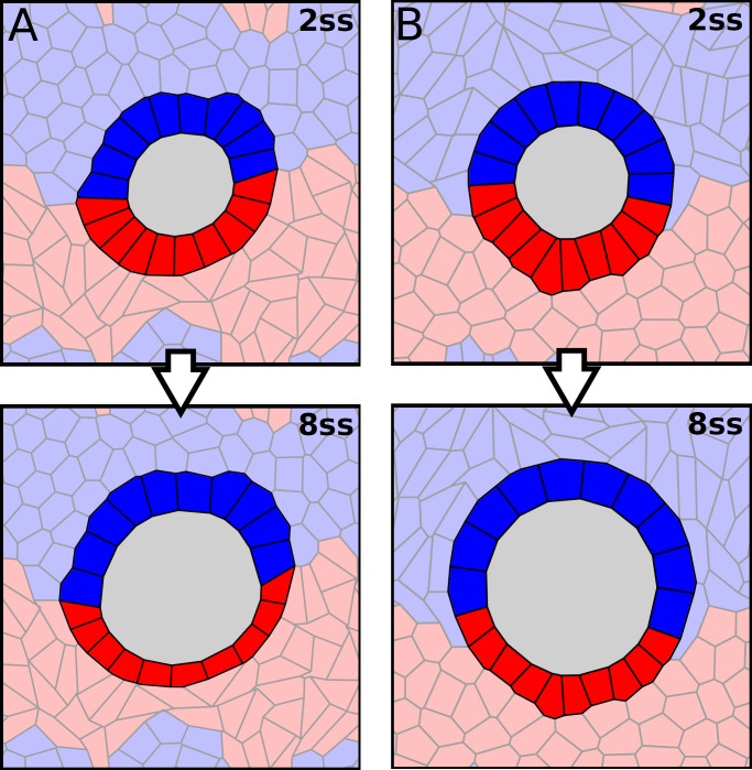 Figure 4—figure supplement 4.