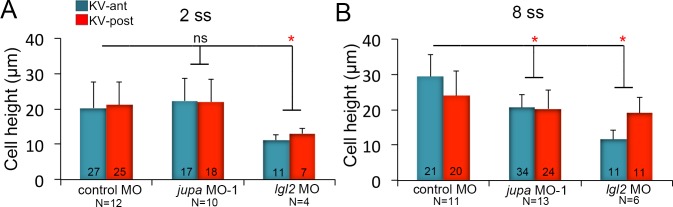 Figure 6—figure supplement 1.