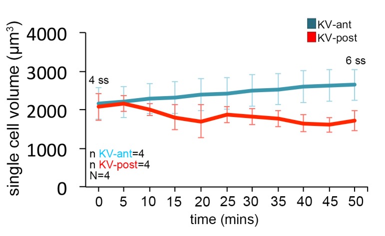 Figure 2—figure supplement 2.