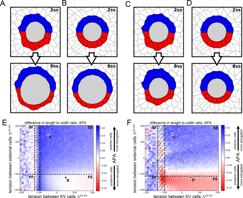 Figure 4—figure supplement 2.