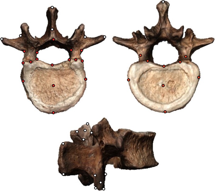 Fig. 2