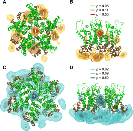 Fig. 4