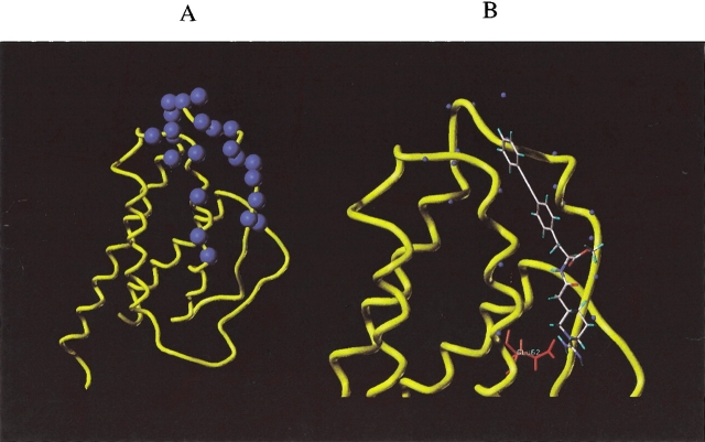 Figure 10.