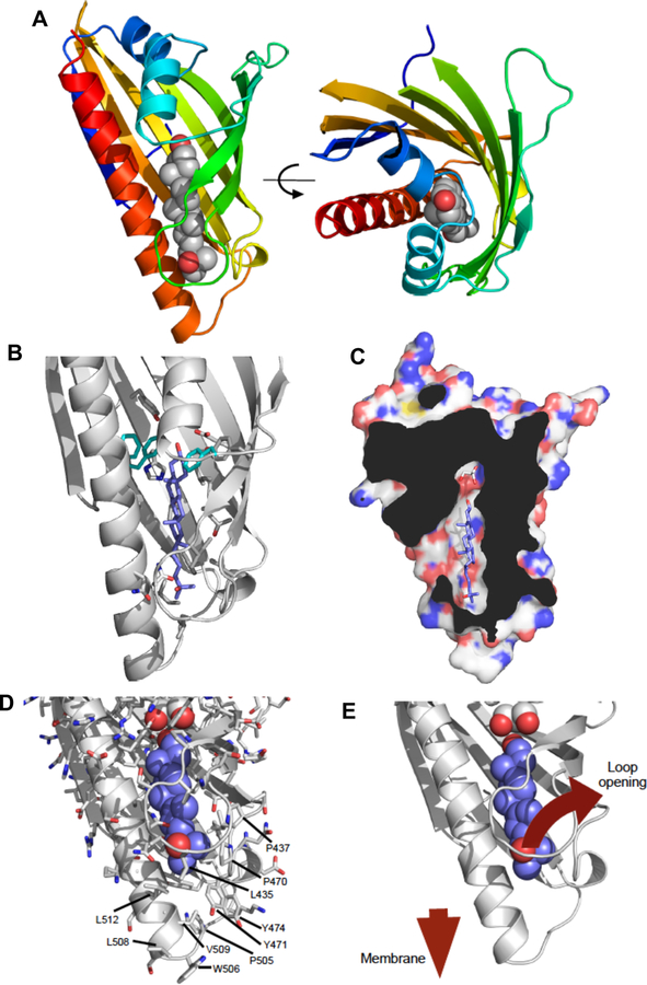 Figure 2.